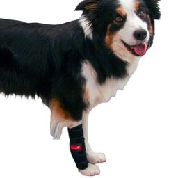 Herzenstier Karpalgelenksbandage Neopren für Hunde & Katzen