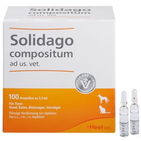 Solidago compositum ad us. vet. Ampullen