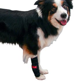 Herzenstier Karpalgelenksbandage Neopren für Hunde & Katzen