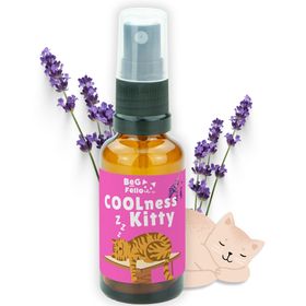 BeG Buddy COOLness Kitty Spray für Katzen, Beruhigung Katze Entspannung