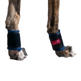 HerzensTier Krallenschutzbandage für Daumen- & Wolfskralle