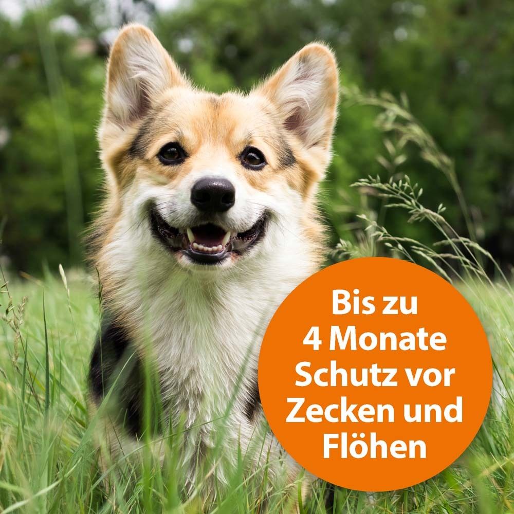 ARDAP® Zecken- und Flohhalsband für kleine Hunde