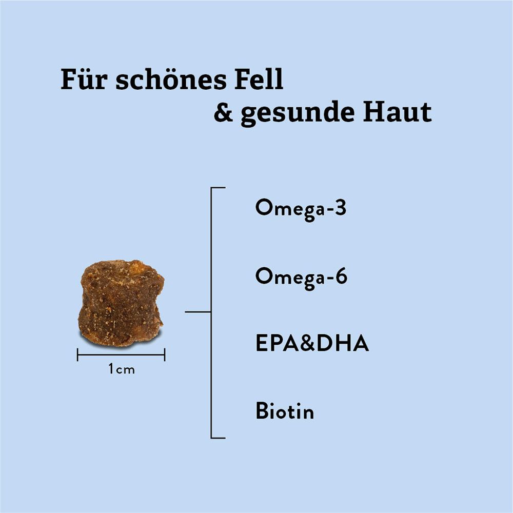 puja Vitality Teeth Cracker für Hunde