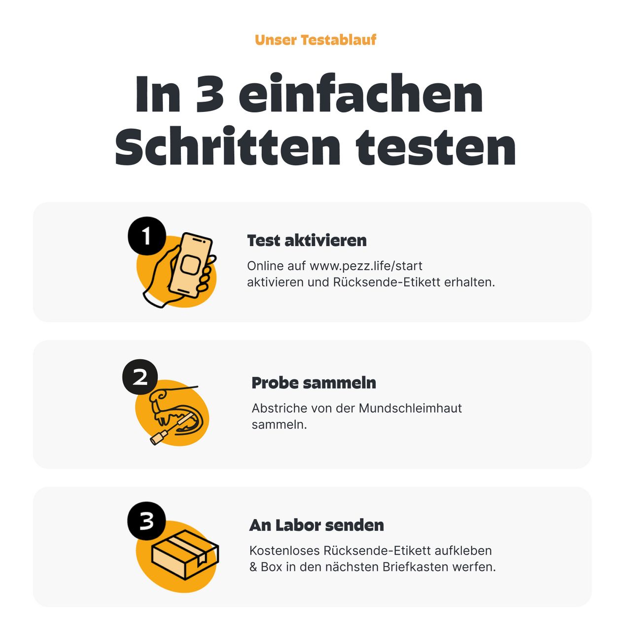 Hunde Rassebestimmung DNA-Test