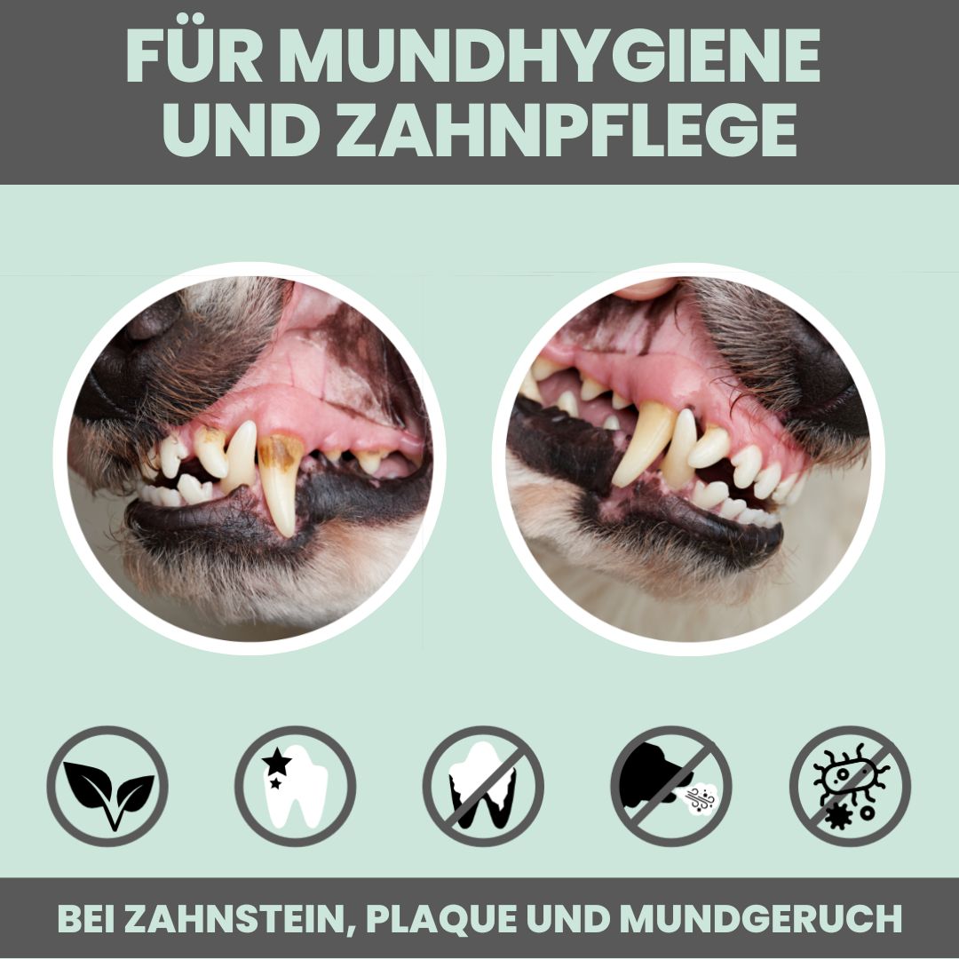 noms+ Dentalmix für Hunde zur Zahnpflege und für frischen Atem