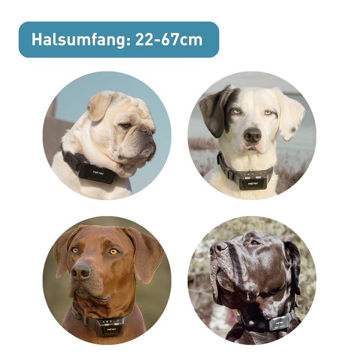 PetTec Ton & Vibra Multi Trainer