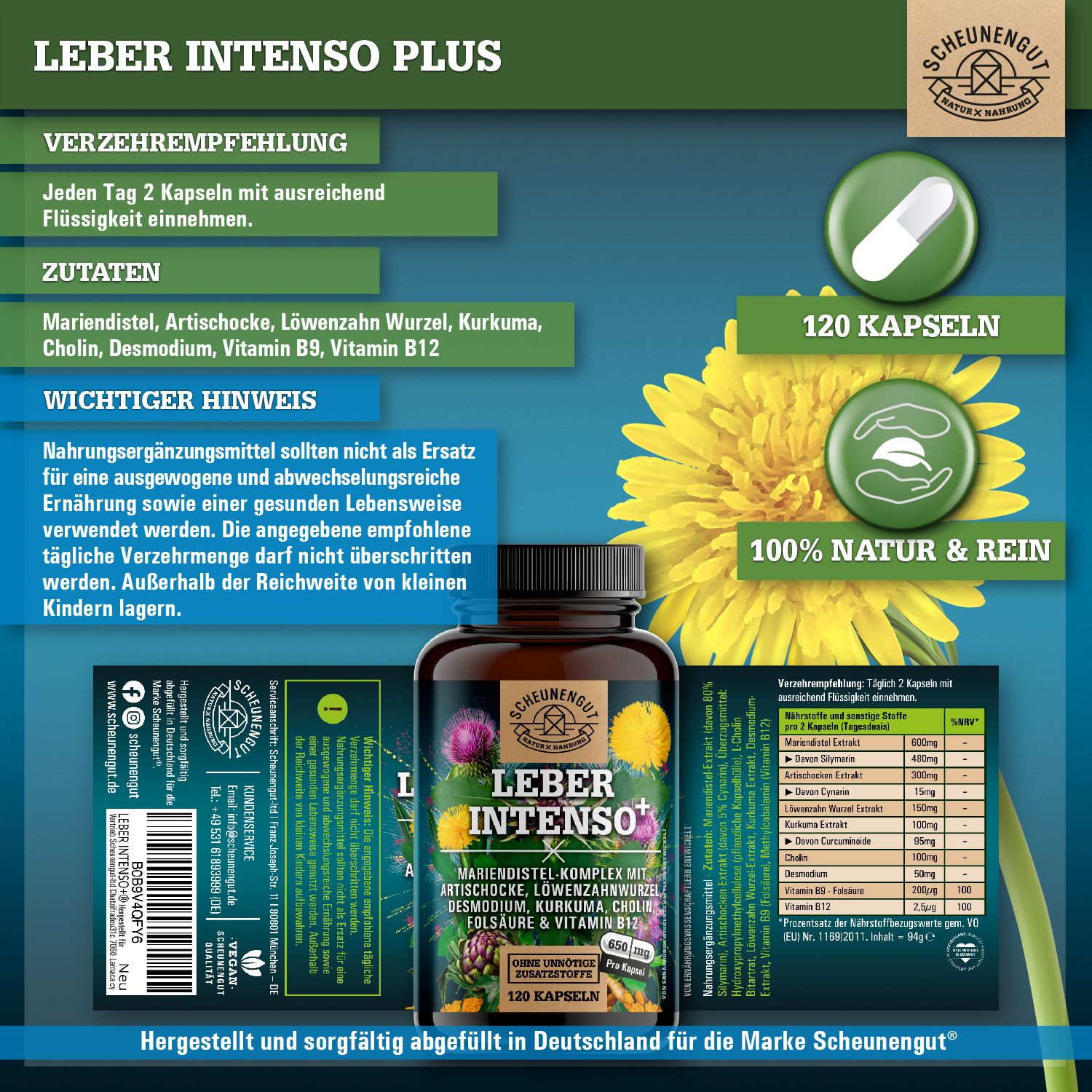 Scheunengut® LEBER INTENSO+ | Extra starker Leber Komplex mit Cholin | für Stoffwechsel & Leber 🌿