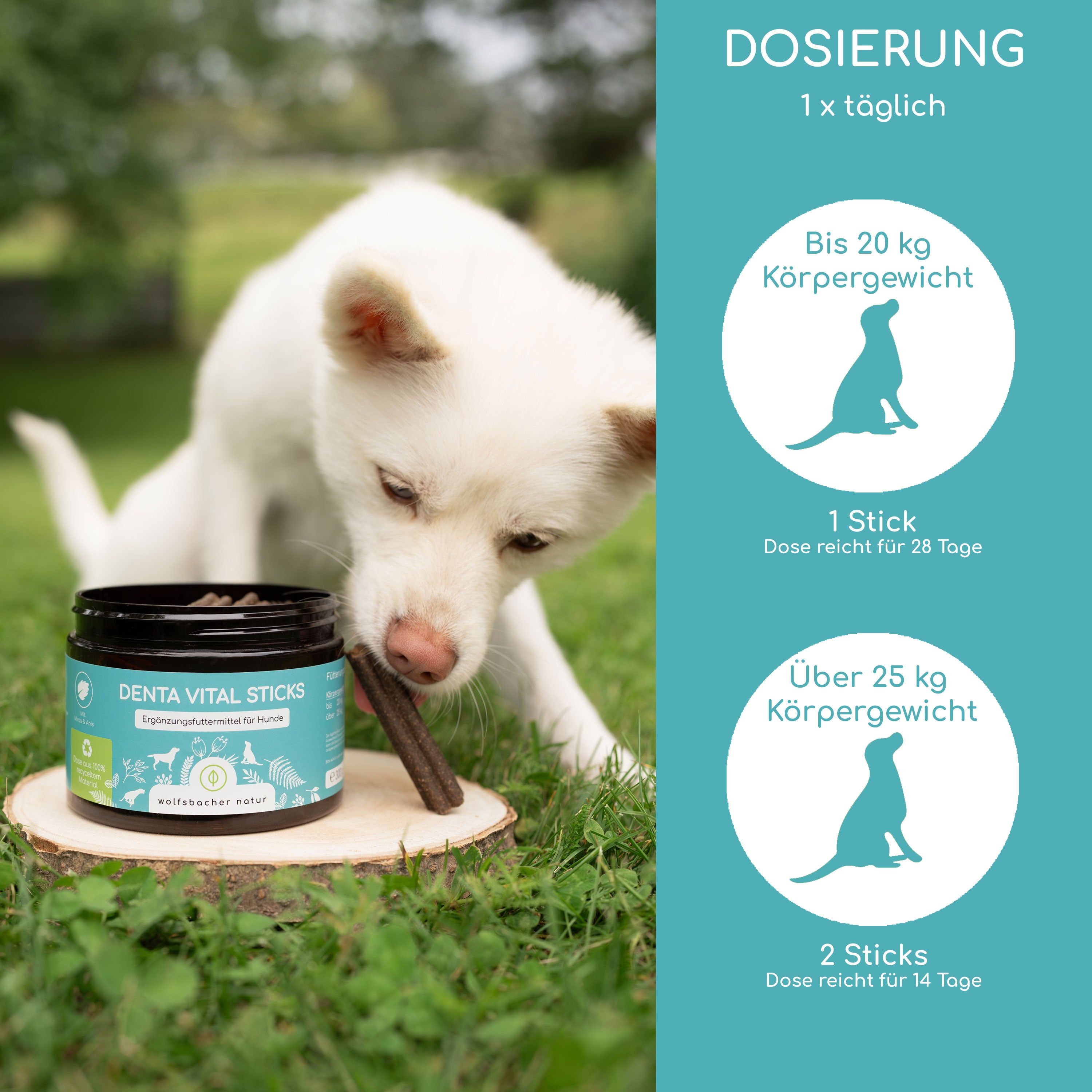 Wolfsbacher Natur Zahnpflege Leckerli