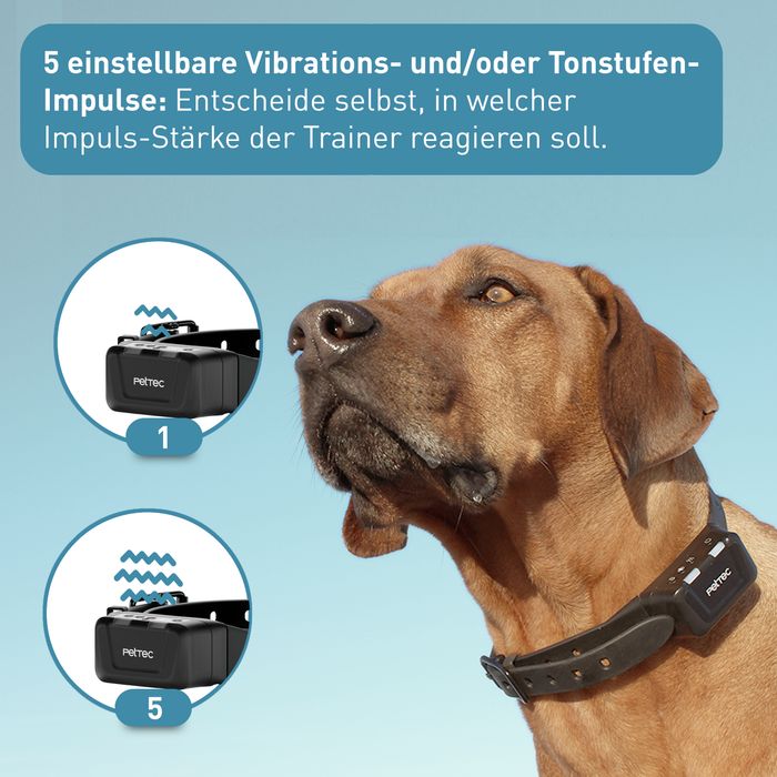 PetTec Ton & Vibra Multi Trainer